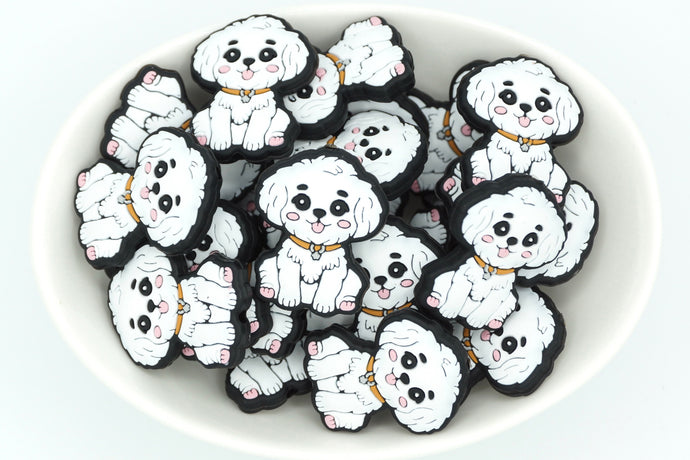 Bichon Frise/ShihTzu/Maltese